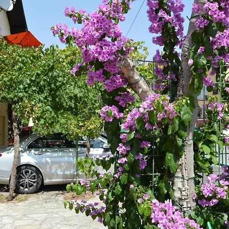 And Katica ビオグラード・ナ・モル