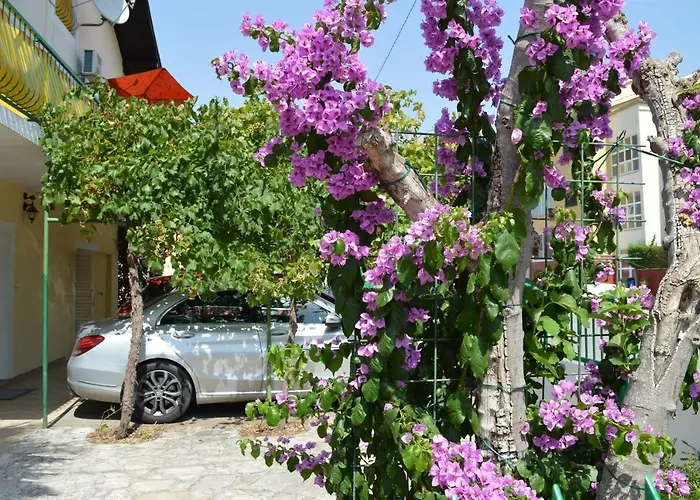 And Katica ביוגראד נה מורו