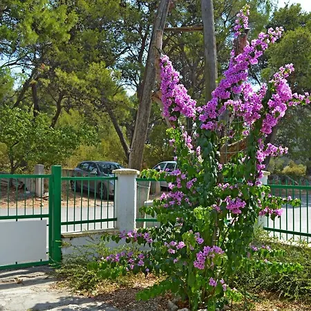 Guest house And Katica